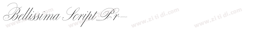 Bellissima Script Pr字体转换